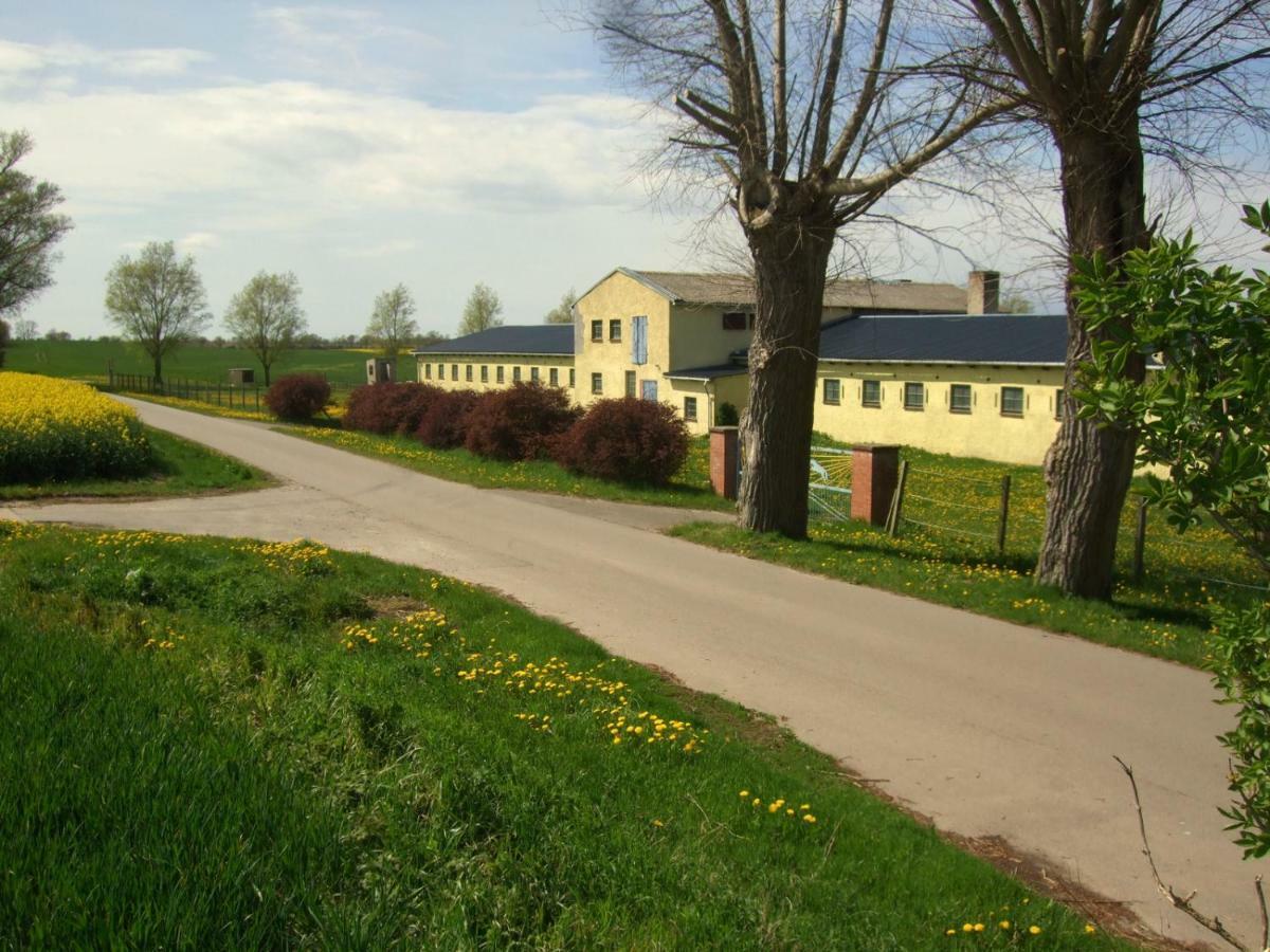 Hof Kranichweide, Ferienwohnung Hrimfaxi Saal Exterior foto